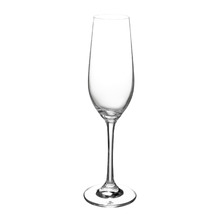 Manhattan 230ml Champagne Flutes (Set of 6)